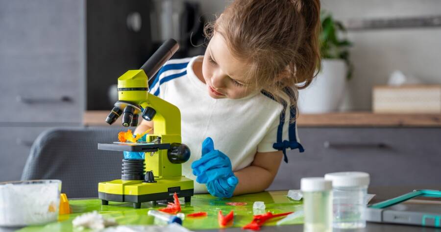 Top STEM Kits That Turn Science Lessons Into Hands-On Projects